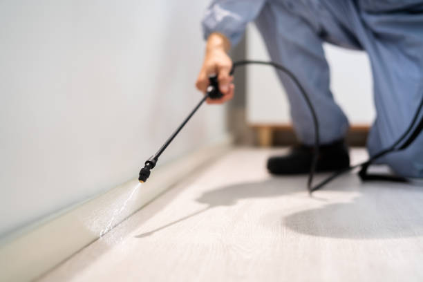 Flea Control Services in Mila Doce, TX