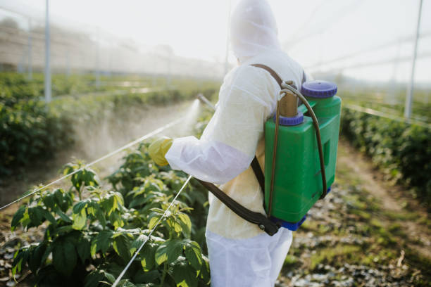 Best Pest Prevention Services  in Mila Doce, TX